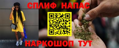 тгк Кингисепп
