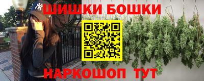 тгк Кингисепп