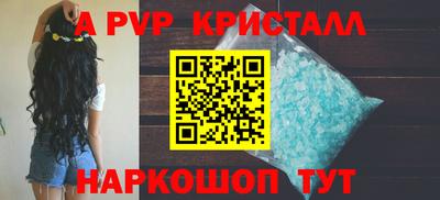 тгк Кингисепп