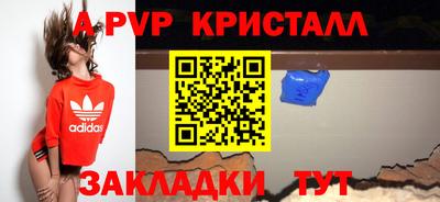 тгк Кингисепп